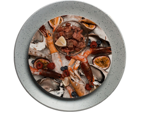 Crudo di pesce